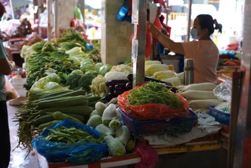 我系东莞后生,我唔中意去菜市场