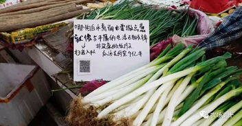 菜场文案 该怎么写 看那些扎堆市场的 神文案 ,帮你多卖产品