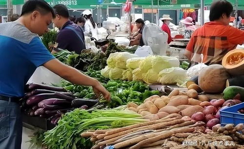 同样是菜市场,看完南方菜市场,再看北方的,没有对比就没有伤害