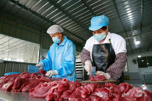 柳城妹办食品厂,好吃的123456样