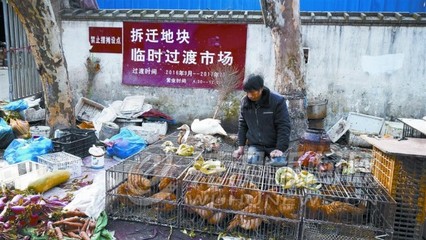 残忍!芜湖弋江桥菜市场有人不定期卖野鸟